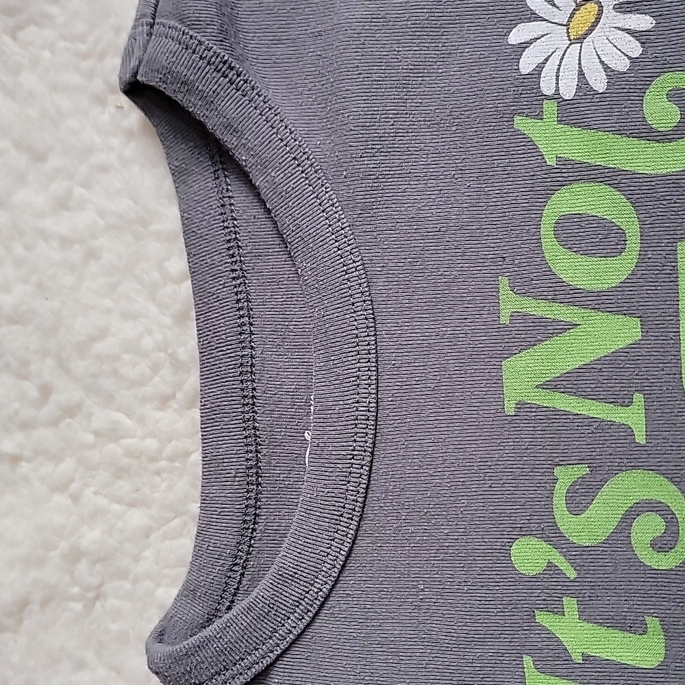 Disney The Muppets M Gray Tee with Kermit Graphic - Picture 3 of 8